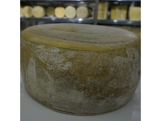 Bütün Teker Eski Kaşar 12 - 13 Kg Arası